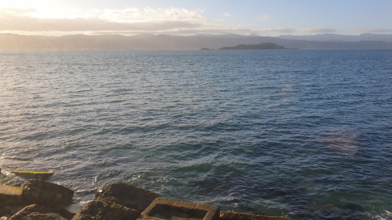 The usual view of Wellington harbour from my daily commute.