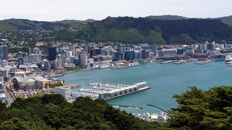 That's the picture postcard view of the Wellington CBD, from the top of Mount Victoria.