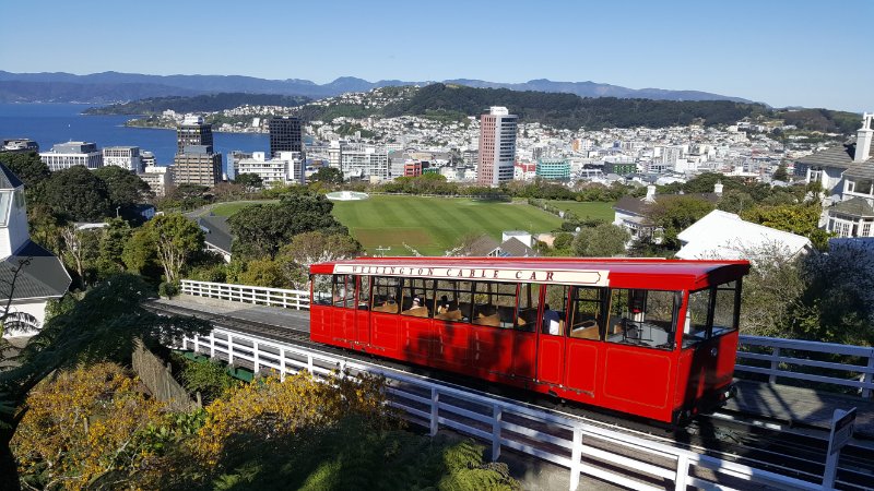 The other picture postcard view of Wellington.  This is from the top of the cable car at Kelburn.